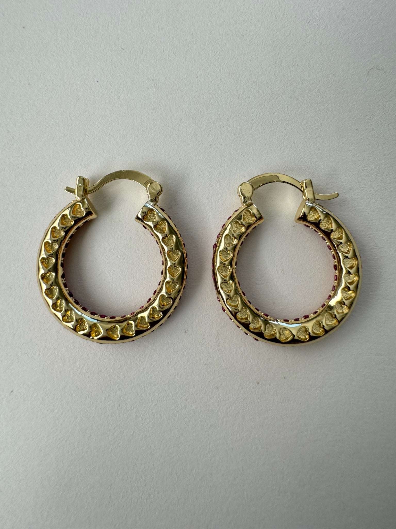 Holly Hoops Back