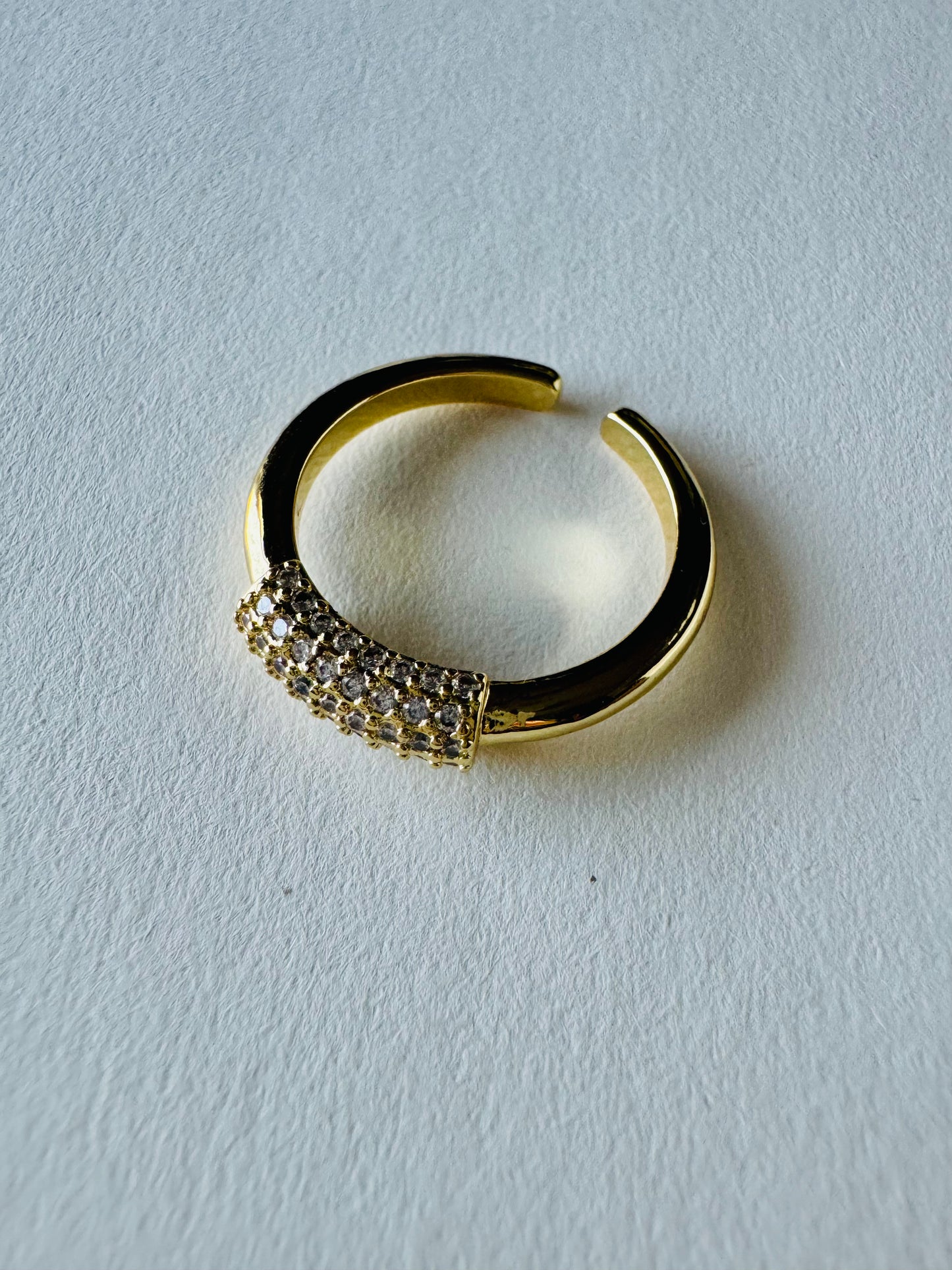 Tish Ring Side