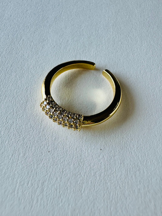 Tish Ring Side