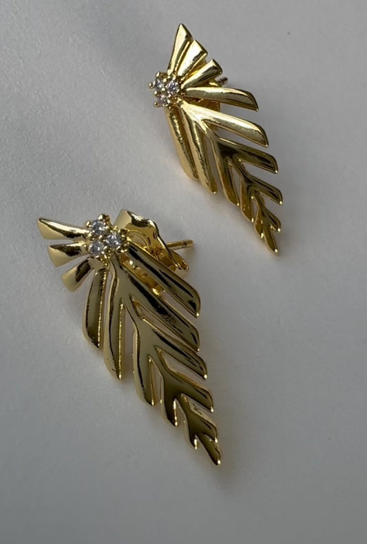 Coasta Earrings Front