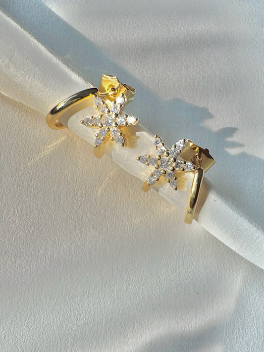 Marie Studs